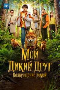 Мой дикий друг. Возвращение домой